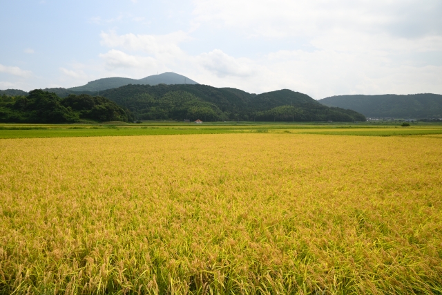 山陰の広大な田園風景